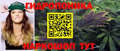 ECSTASY Кулебаки