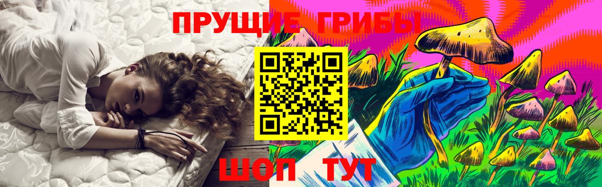 купить наркотики цена  Галлюциногенные грибы Magic Shrooms  Вход с VPN  Славянск-на-Кубани 